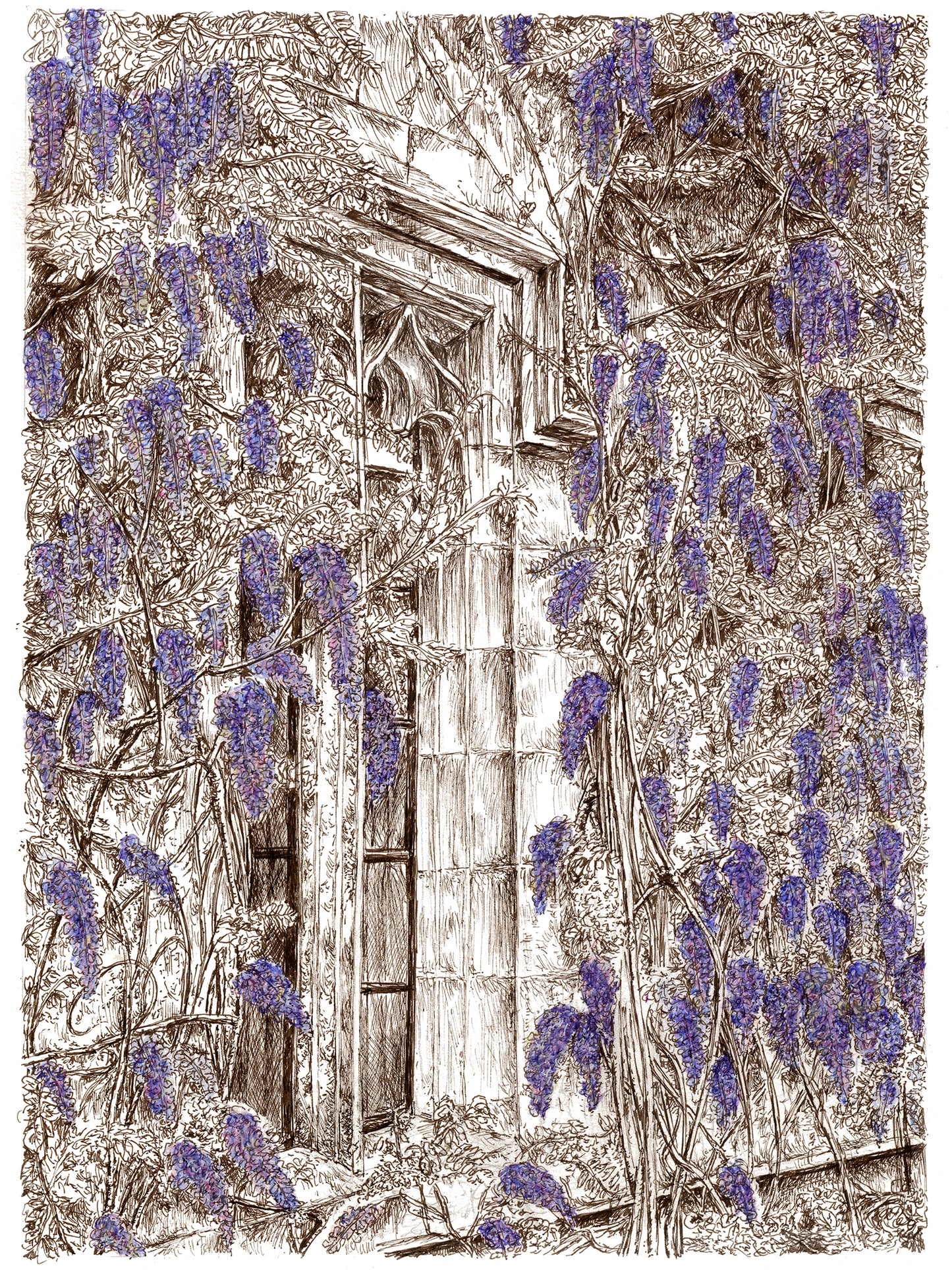 Wisteria Window *Original*