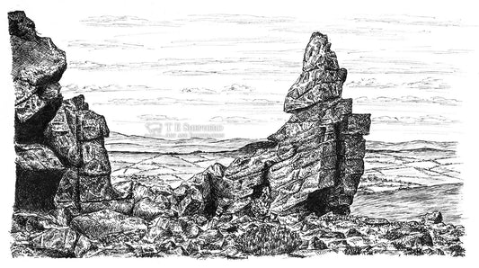 Manstone Rock, Stiperstones, Shropshire